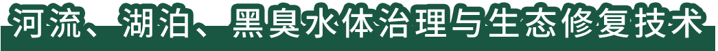 河流、湖泊、黑臭水體治理與生態修復技術