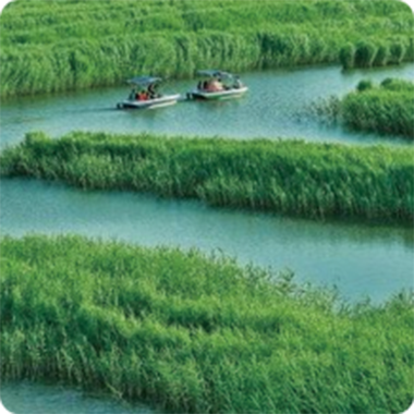 地表水流域綜合治理項目案例