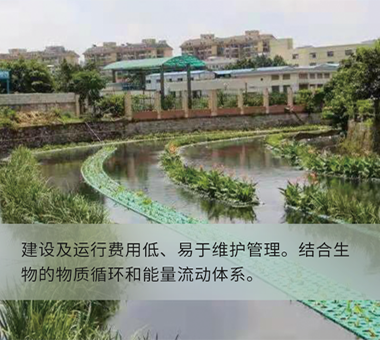 人工濕地示范工程