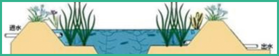 人工濕地，表面流人工濕地