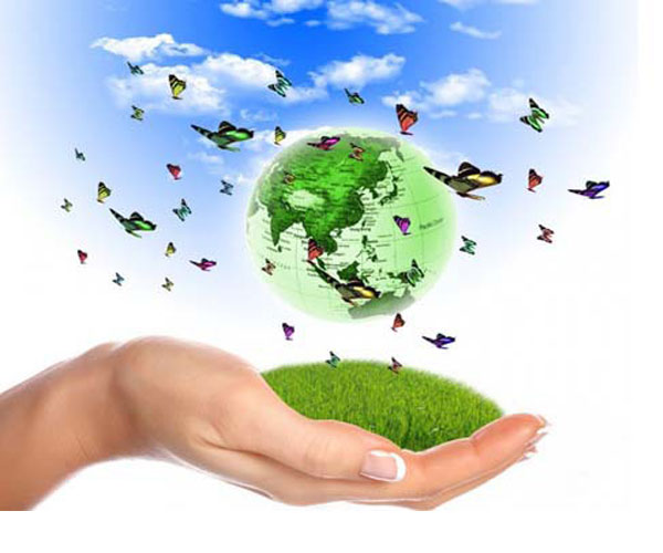 中國環(huán)境監(jiān)測行業(yè)將進(jìn)入怎樣的“新常態(tài)”？