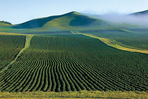 研讀土壤修復(fù)行業(yè)發(fā)展報告（咨詢篇）、（工程篇）