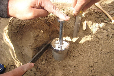 土壤調(diào)查的內(nèi)容有哪些？