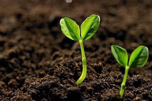 1609404828784651.png 微信截圖_20201231165322.png