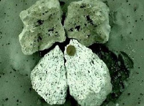 1614583979174921.jpg 生4.jpg