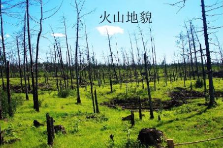 1614584344744928.jpg 1614584344744928.jpg