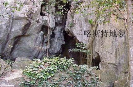 1614584425177374.jpg 卡斯特2.jpg