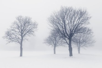 1614585339293186.png 氣候調(diào)查.png