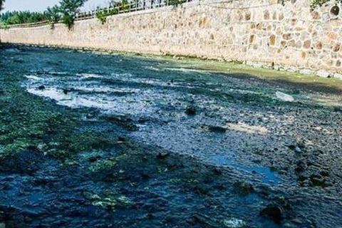 1641880197646811.png 圖片1_副本.png