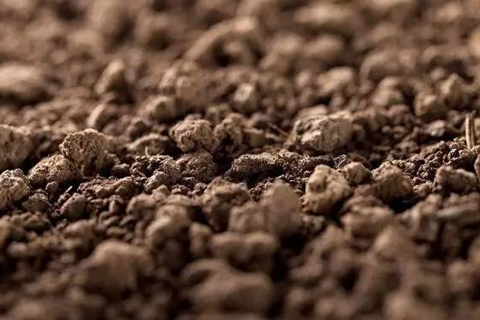 <a href=http://m.ahbfq.cn/turangjiance.html>土壤檢測</a> 土壤檢測