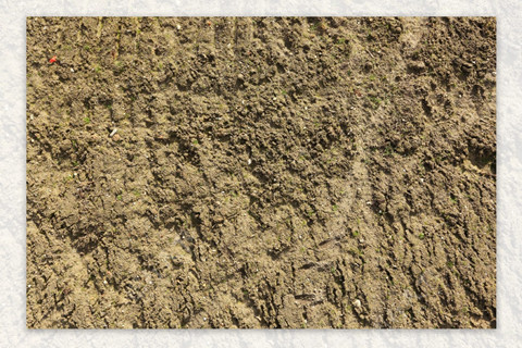 <a href=http://m.ahbfq.cn/turangjiance.html>土壤檢測</a> 土壤檢測