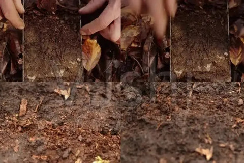 土壤污染調查 土壤污染調查