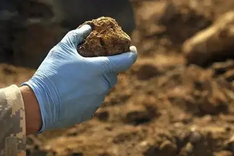 <a href=http://m.ahbfq.cn/turangjiance.html>土壤檢測</a> 土壤檢測